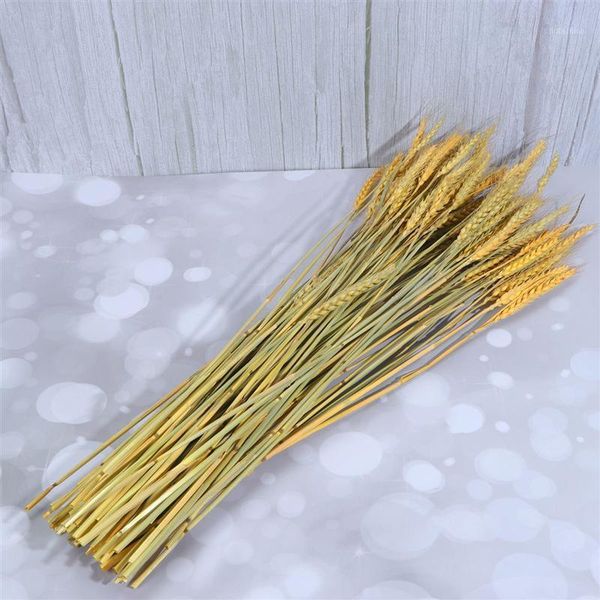 100pcs handmade natural wheat dried flowers simulation rural farmhouse real wheat barley decorative flower1
100pcs handmade natural wheat dried flowers simulation rural farmhouse real wheat barley decorative flower1