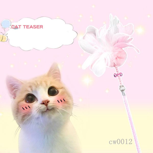 2010 new feather cuddle cat toy ball cat supplies baby cat cuddle wholesale and retail cw0012 
2010 new feather cuddle cat toy ball cat supplies baby cat cuddle wholesale and retail cw0012