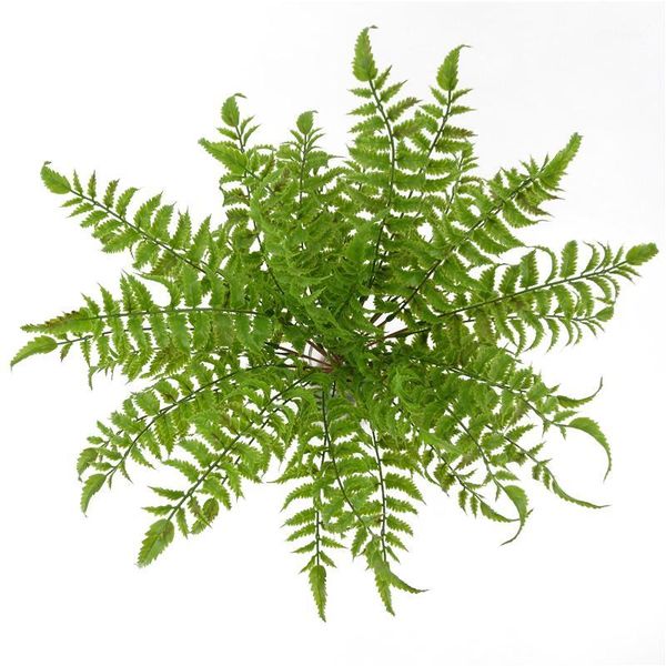 artificial green 17 bunch fern leaves persian grass fake plants wall hanging plastic leaf bonsai home wedding decoration1
artificial green 17 bunch fern leaves persian grass fake plants wall hanging plastic leaf bonsai home wedding decoration1