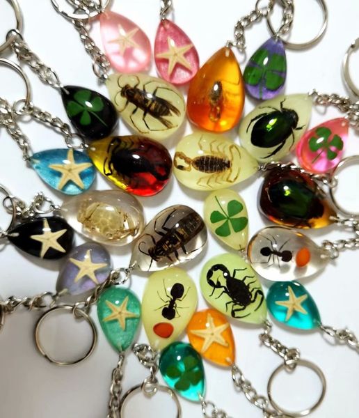 yqtdmy 12 pcs mixed color drop vogue scorpion star keychain specimen keychain crafts, Slivery;golden
yqtdmy 12 pcs mixed color drop vogue scorpion star keychain specimen keychain crafts, Slivery;golden