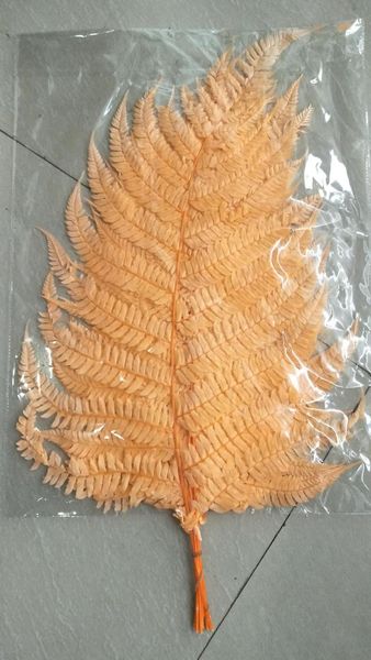 80-85g/10pcs preserved fern leaf,green eternal life dri natural real fern plant for handmade flowers material wedding decoration
80-85g/10pcs preserved fern leaf,green eternal life dri natural real fern plant for handmade flowers material wedding decoration