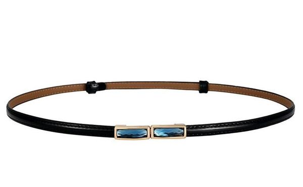 классический тонкий пояс pu яркая кожаная кожаная корректировка cummerbunds женские ремни для женщин gem rhinestone пряжка женского пояса гл, Black;brown
классический тонкий пояс pu яркая кожаная кожаная корректировка cummerbunds женские ремни для женщин gem rhinestone пряжка женского пояса гл, Black;brown