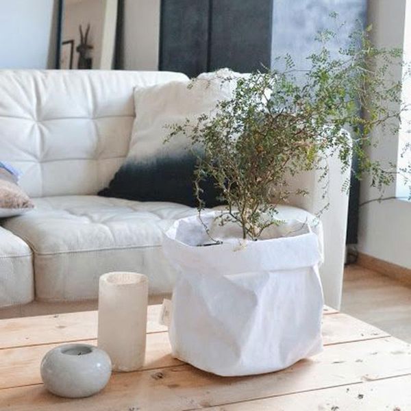 washable kraft paper bag plant flowers pots multifunction home storage bag reuse home improvement useful tools #r5
washable kraft paper bag plant flowers pots multifunction home storage bag reuse home improvement useful tools #r5