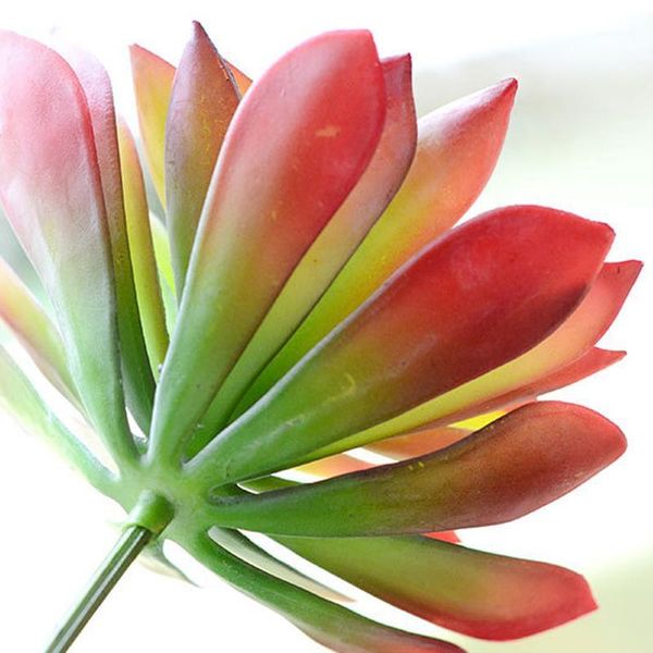 decorative flowers & wreaths 25cm artificial succulent plastic plant simulation for home room office decoration1
decorative flowers & wreaths 25cm artificial succulent plastic plant simulation for home room office decoration1