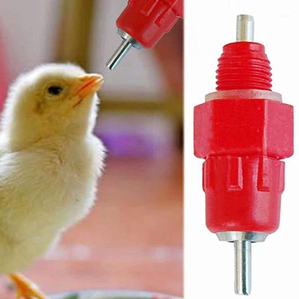water dispenser 5pcs chicken water-drinking feeder poultry drinking nipples bujoint automatically feed1
water dispenser 5pcs chicken water-drinking feeder poultry drinking nipples bujoint automatically feed1