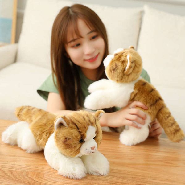 two color new cat simulation seri cute animal doll plush toys agj4
two color new cat simulation seri cute animal doll plush toys agj4
