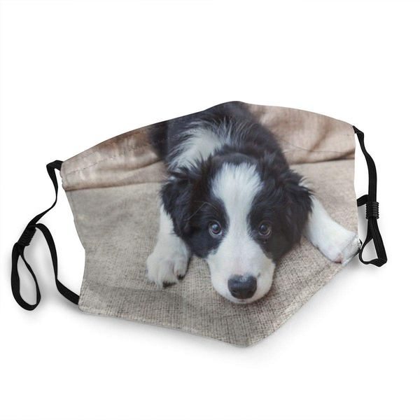 смешной портрет милого smilling puppy dog face mask многоразового и модная anti-dust шея gaiter балаклав ветрозащитного mouth защита напечи
смешной портрет милого smilling puppy dog face mask многоразового и модная anti-dust шея gaiter балаклав ветрозащитного mouth защита напечи
