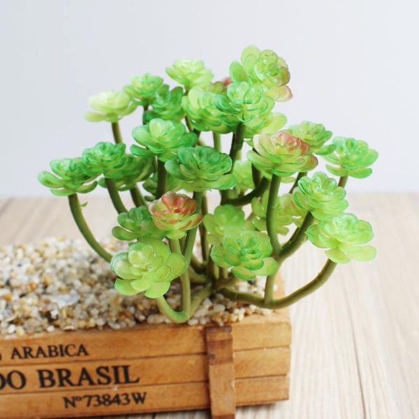 decorative flowers & wreaths artificial flocking mini succulent plants diy home garden office valentine's day wedding decoration bonsai
decorative flowers & wreaths artificial flocking mini succulent plants diy home garden office valentine's day wedding decoration bonsai