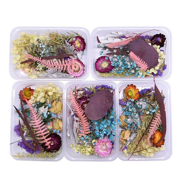 1 box real dried flower natural plant for aromatherapy candle epoxy resin pendant necklace jewelry making craft diy accessories
1 box real dried flower natural plant for aromatherapy candle epoxy resin pendant necklace jewelry making craft diy accessories