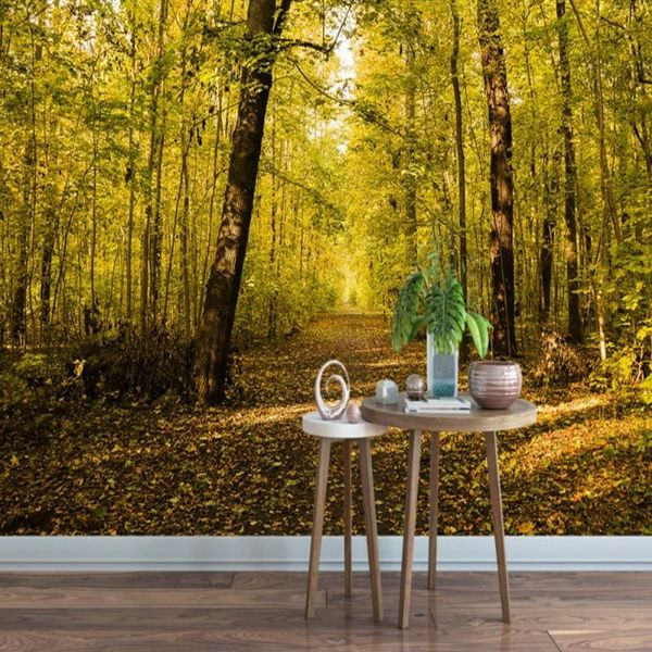 dropshipping colomac wallpaper 3d forest sunset sunlight shining wallpapers for living room mural wallpaper carta da parati 3d
dropshipping colomac wallpaper 3d forest sunset sunlight shining wallpapers for living room mural wallpaper carta da parati 3d