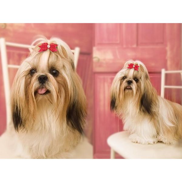 cute dog hair bows handmade pet puppy grooming accessories bowknot rubber bands for small dogs yorkshire petshop pet wmttyh
cute dog hair bows handmade pet puppy grooming accessories bowknot rubber bands for small dogs yorkshire petshop pet wmttyh