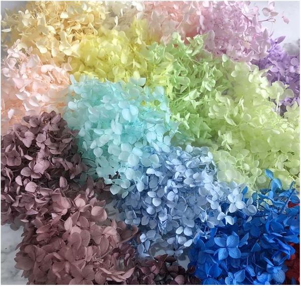 4-4.5g/lot natural fresh preserved flowers dried hydrangea flower head for diy real eternal life flowers wmtlav
4-4.5g/lot natural fresh preserved flowers dried hydrangea flower head for diy real eternal life flowers wmtlav