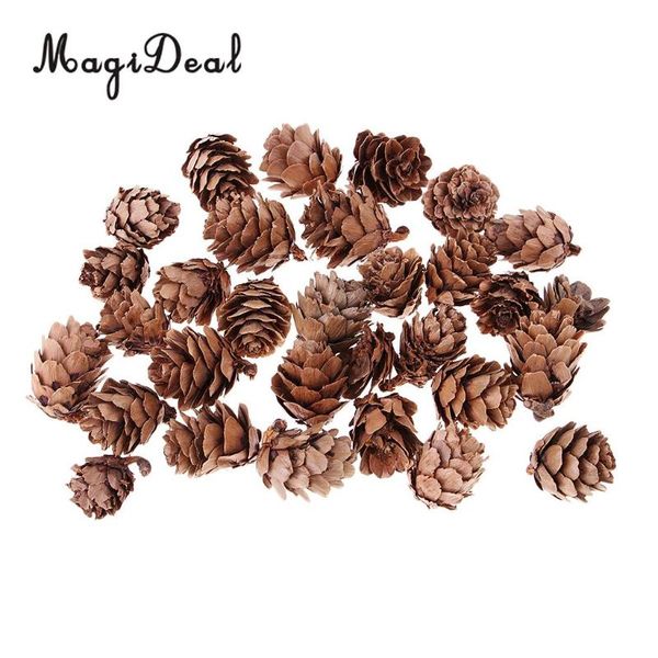 christmas decorations 30 pieces mini small natural dried pine cones in bulk flowers for decoration or crafting
christmas decorations 30 pieces mini small natural dried pine cones in bulk flowers for decoration or crafting