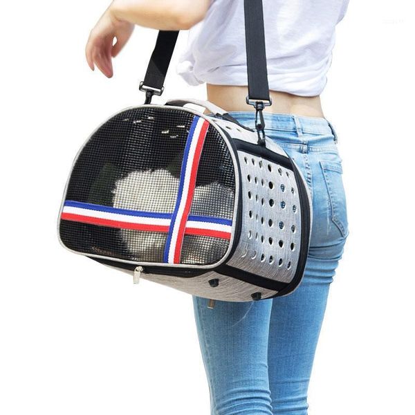 pet clear cat backpack carrier breathable foldable pet rucksack carrier for dog cat lightweight backpack for outdoor walking1
pet clear cat backpack carrier breathable foldable pet rucksack carrier for dog cat lightweight backpack for outdoor walking1