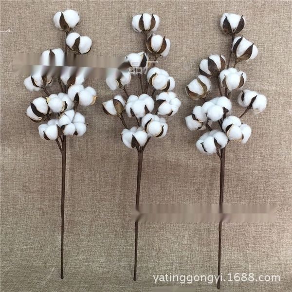 tnznq cotton 10 flower branch simulation shooting natural iron pole simulation propsprops and propscotton head stem bunch immortal props oem
tnznq cotton 10 flower branch simulation shooting natural iron pole simulation propsprops and propscotton head stem bunch immortal props oem
