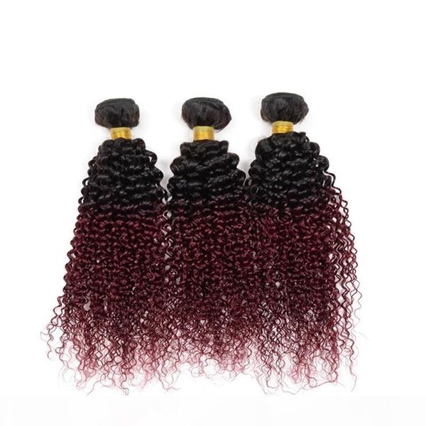 unprocessed cambodian virgin hair color ombre 1b 99j kinky curly 3 bundles human hair weaves extensions, Black
unprocessed cambodian virgin hair color ombre 1b 99j kinky curly 3 bundles human hair weaves extensions, Black