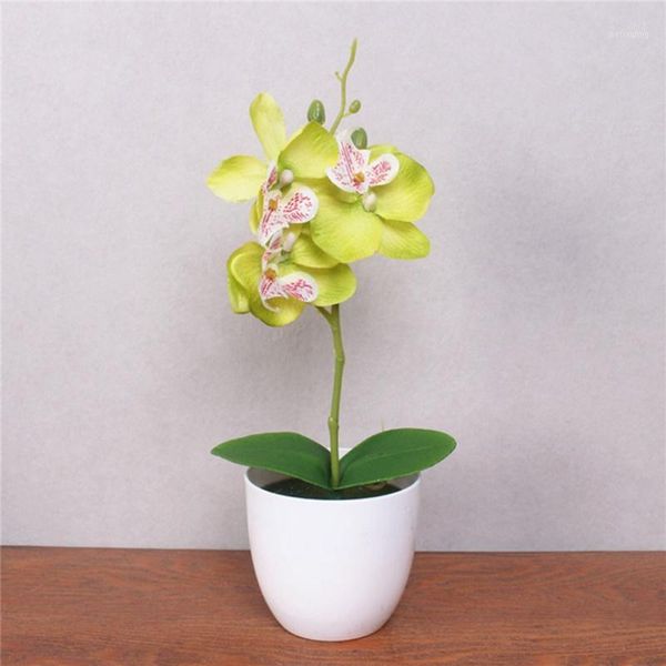 mini phalaenopsis potted artificial flower for home decoration party supplies for living room shop deskfestive & party1
mini phalaenopsis potted artificial flower for home decoration party supplies for living room shop deskfestive & party1