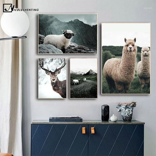 alpaca llama sheep animal poster nordic style canvas print landscape art painting wall picture for modern living room decoration1
alpaca llama sheep animal poster nordic style canvas print landscape art painting wall picture for modern living room decoration1