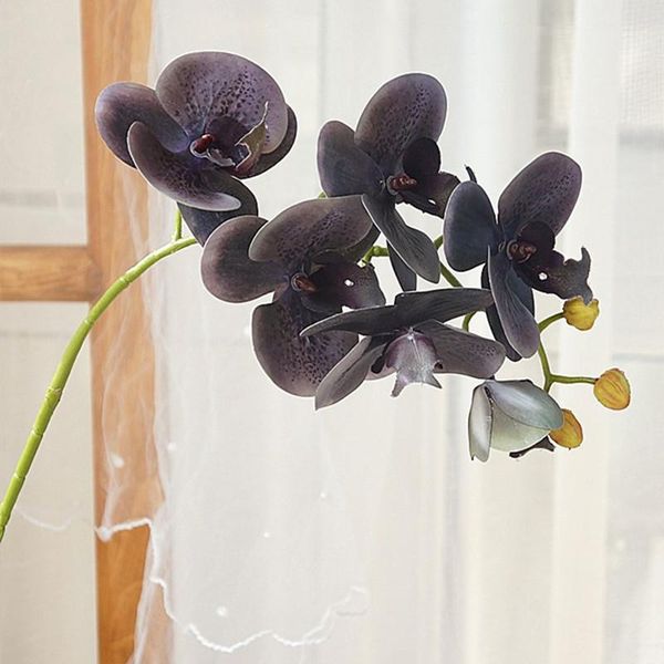 decorative flowers & wreaths black grey orchid branch living room decoration artificial real touch plastic house decor mom gifts
decorative flowers & wreaths black grey orchid branch living room decoration artificial real touch plastic house decor mom gifts