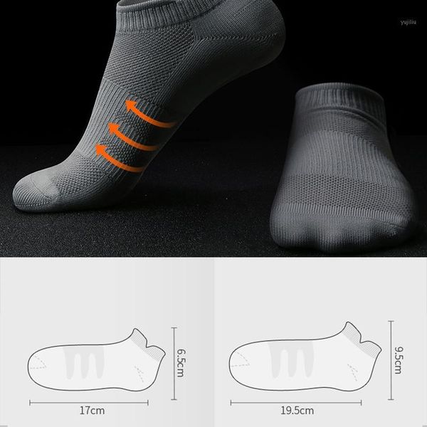 sports socks professional ladies men\\'s stretch outdoor jogging mountaineering running 1, Black
sports socks professional ladies men\\'s stretch outdoor jogging mountaineering running 1, Black