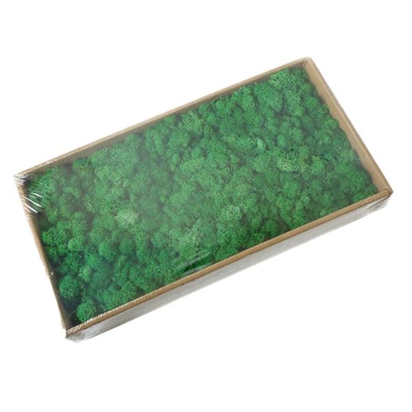 500g simulation green plant moss grass home living room decorative wall diy flower decoration with gift box
500g simulation green plant moss grass home living room decorative wall diy flower decoration with gift box