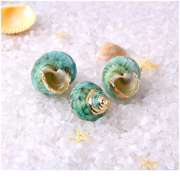 26*16-33*22 mm 5 pcs natural spiral shell charm pendants conch at random gold for jewelry making diy necklace bracelet qylnna, Black
26*16-33*22 mm 5 pcs natural spiral shell charm pendants conch at random gold for jewelry making diy necklace bracelet qylnna, Black