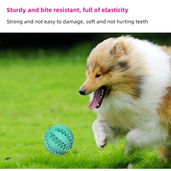 pet toy interactive elasticity ball tooth clean ball cat dog chew interactive toys rubber leaking ball puppy tooth cleaning q wmtbsg
pet toy interactive elasticity ball tooth clean ball cat dog chew interactive toys rubber leaking ball puppy tooth cleaning q wmtbsg