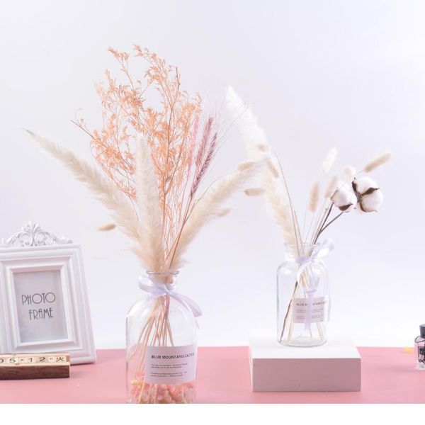 natural dried flowers diy artificial flowers decorative pampas grass phragmites wheat plants for home wedding decorati bbypar
natural dried flowers diy artificial flowers decorative pampas grass phragmites wheat plants for home wedding decorati bbypar