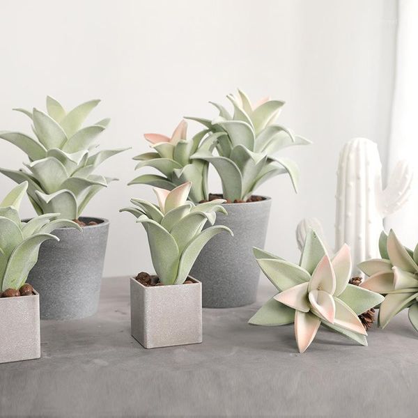 flocking succulents artificial plants real crassula succulents home garden store decor gardening fake plant live1
flocking succulents artificial plants real crassula succulents home garden store decor gardening fake plant live1