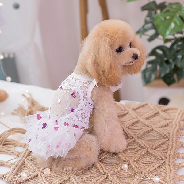 handmade dog apparel clothes pet dress white lace see-through sweat heart tutu tulle skirt cats party evening gown
handmade dog apparel clothes pet dress white lace see-through sweat heart tutu tulle skirt cats party evening gown