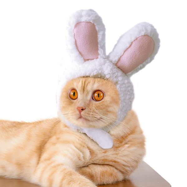 funny pet cat kitten cosplay costume rabbit hat cap cute cat halloween christmas clothing hats small dogs acc jllkmv
funny pet cat kitten cosplay costume rabbit hat cap cute cat halloween christmas clothing hats small dogs acc jllkmv