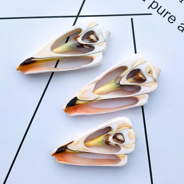 5pcs 42 61mm natural shell conch decor diy jewelry pendants accessories specimen home decoration seashells for jewelry making h bbyfgs
5pcs 42 61mm natural shell conch decor diy jewelry pendants accessories specimen home decoration seashells for jewelry making h bbyfgs