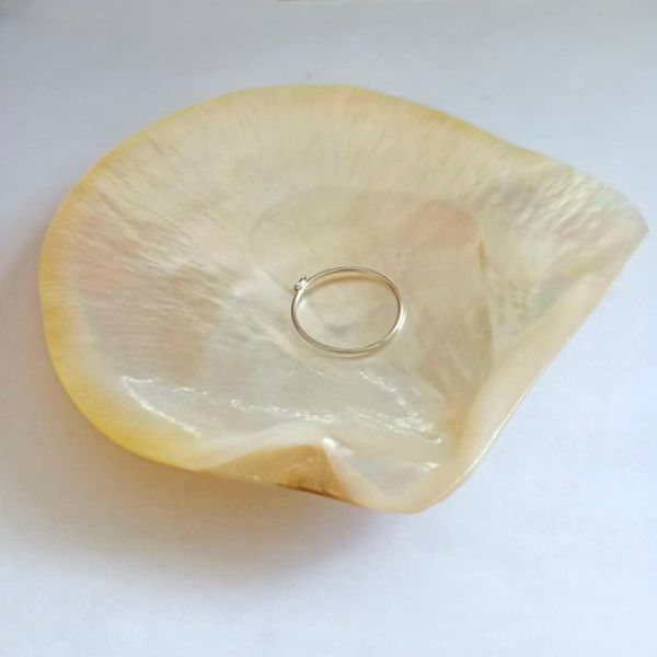 nautical home decor shells jewelry diy seashells beach wedding decorations shell ocean decor restaurant caviar seasoning tray h sqcmxg 
nautical home decor shells jewelry diy seashells beach wedding decorations shell ocean decor restaurant caviar seasoning tray h sqcmxg