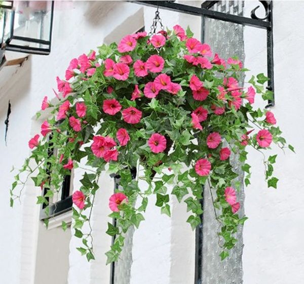 65.5cm artificial silk morning glory fake flower for wedding home party diy table decoration bulk 1pcs
65.5cm artificial silk morning glory fake flower for wedding home party diy table decoration bulk 1pcs