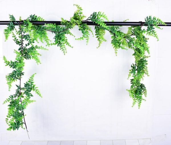 model vine 1.9 m model persian fern garden green decoration green vegetation eucalyptus rattan1
model vine 1.9 m model persian fern garden green decoration green vegetation eucalyptus rattan1