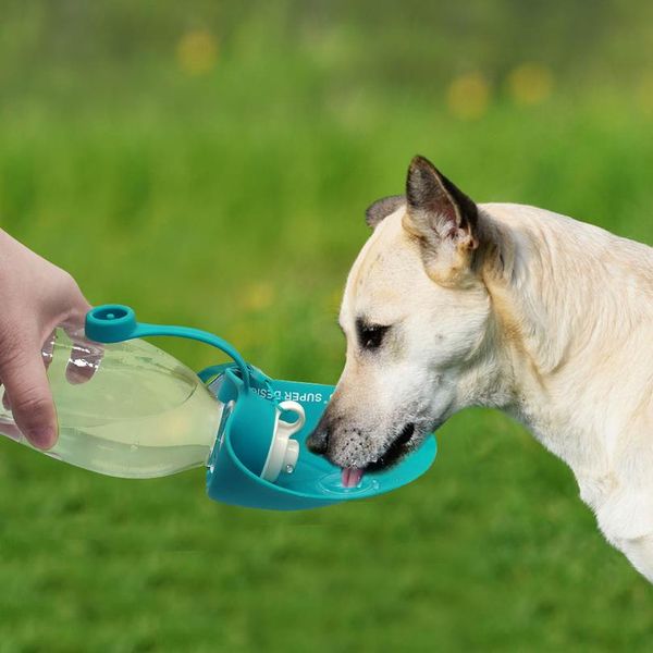 580ml sport portable pet dog water bottle expandable sile travel dog bowl for puppy cat drinking outdoor water d wmtntm
580ml sport portable pet dog water bottle expandable sile travel dog bowl for puppy cat drinking outdoor water d wmtntm