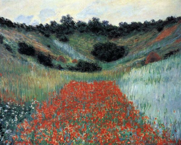 poppy field in giverny by claude monet home decoration oil painting on canvas wall art canvas pictures for wall decor 201111
poppy field in giverny by claude monet home decoration oil painting on canvas wall art canvas pictures for wall decor 201111