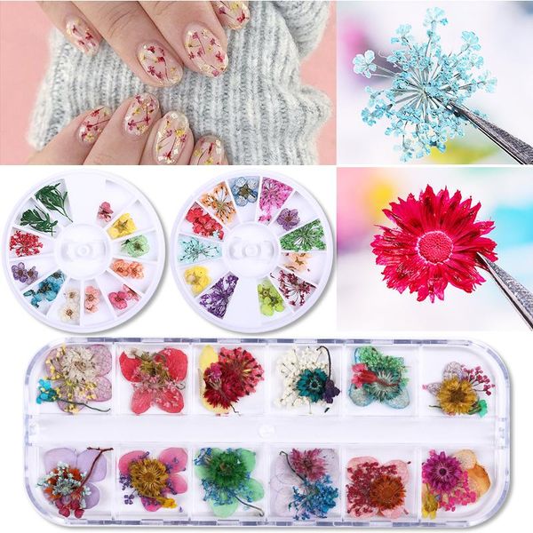 nail art decorations mix dried flowers jewelry natural floral leaf stickers 3d designs polish accessories, Silver;gold
nail art decorations mix dried flowers jewelry natural floral leaf stickers 3d designs polish accessories, Silver;gold