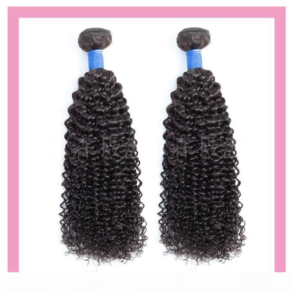 brazilian kinky curly 2 pieces lot 100% human hair extensions kinky curly two bundles double wefts brazilian virgin hair wholesale remy, Black
brazilian kinky curly 2 pieces lot 100% human hair extensions kinky curly two bundles double wefts brazilian virgin hair wholesale remy, Black