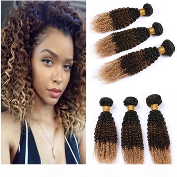 three tone virgin hair weaves ombre human hair bundles kinky curly #1b 4 27 ombre peruvian curly human hair weave extensions 10-30, Black
three tone virgin hair weaves ombre human hair bundles kinky curly #1b 4 27 ombre peruvian curly human hair weave extensions 10-30, Black