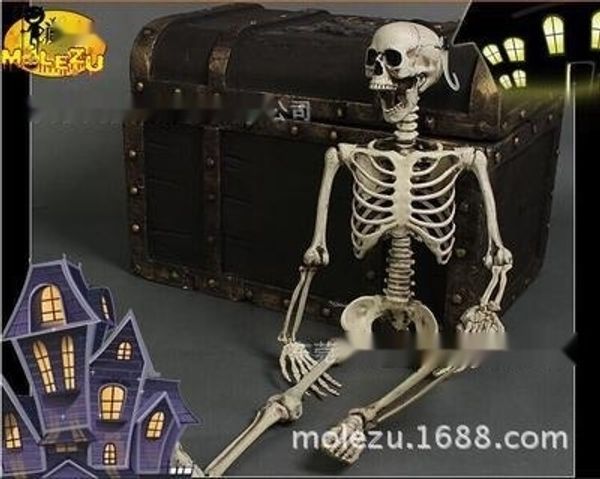 0c5zu human skeleton skeleton trickery house decorationdemons display propsterror and props and prop suppliessecret room escape ghost corpse
0c5zu human skeleton skeleton trickery house decorationdemons display propsterror and props and prop suppliessecret room escape ghost corpse