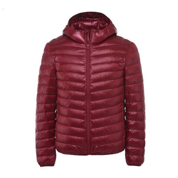 new fashion boutique solid color warm mens casual hooded white duck jacket / thin and light men's down coats, Black
new fashion boutique solid color warm mens casual hooded white duck jacket / thin and light men's down coats, Black
