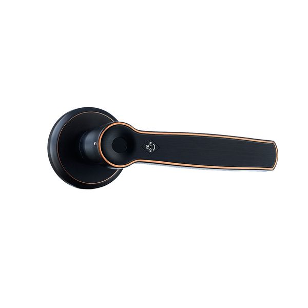 zinc alloy smart door lock keyless entry lock intelligent biometric fingerprint electronic lock for home
zinc alloy smart door lock keyless entry lock intelligent biometric fingerprint electronic lock for home