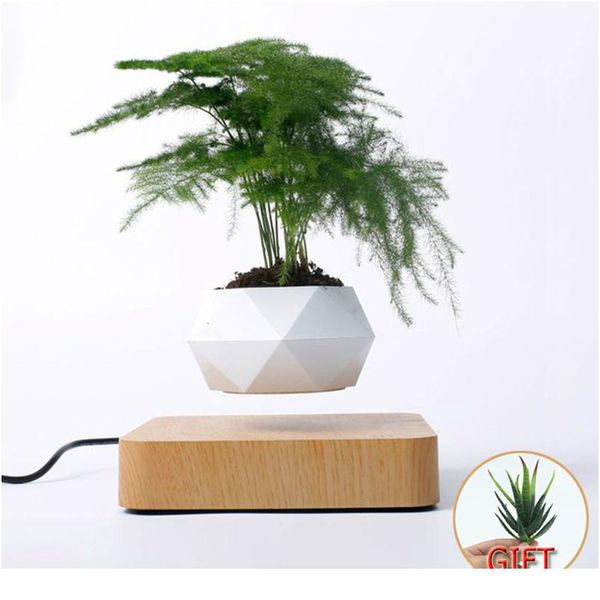 горячая распродажа levitating air bonsai pot rotation planters магнитная левитация подвеска цветок плавающий горшок в горшке растение de bby
горячая распродажа levitating air bonsai pot rotation planters магнитная левитация подвеска цветок плавающий горшок в горшке растение de bby
