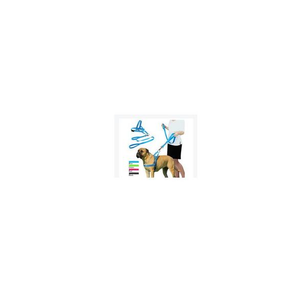 full rhinestone dog harness soft mesh reflective dog harness vest for small medium dogs pitbull bulldog bowknot acc bbypqp
full rhinestone dog harness soft mesh reflective dog harness vest for small medium dogs pitbull bulldog bowknot acc bbypqp