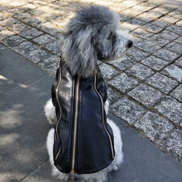 warm dog coat clothes winter french bulldog clothes waterproof pet jacket vest for chihuahua pug pets dogs clothing ro bbydbg
warm dog coat clothes winter french bulldog clothes waterproof pet jacket vest for chihuahua pug pets dogs clothing ro bbydbg