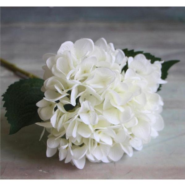 party supplies artificial hydrangea flower head 47cm fake silk single real touch hydrangeas 8 colors for wedding jllpra lucky2005
party supplies artificial hydrangea flower head 47cm fake silk single real touch hydrangeas 8 colors for wedding jllpra lucky2005