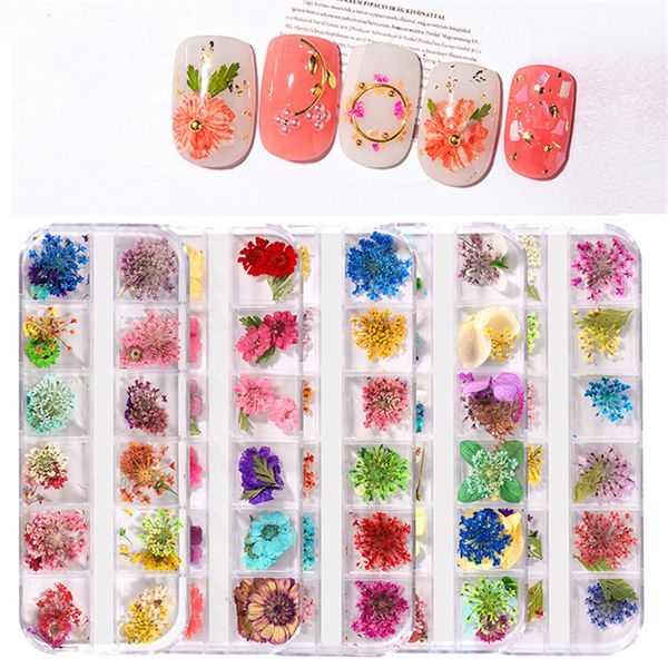 1 box 3d dried flower nail decoration natural floral sticker mixed dry flower diy nail art decals jewelry uv gel polish manicure, Black
1 box 3d dried flower nail decoration natural floral sticker mixed dry flower diy nail art decals jewelry uv gel polish manicure, Black