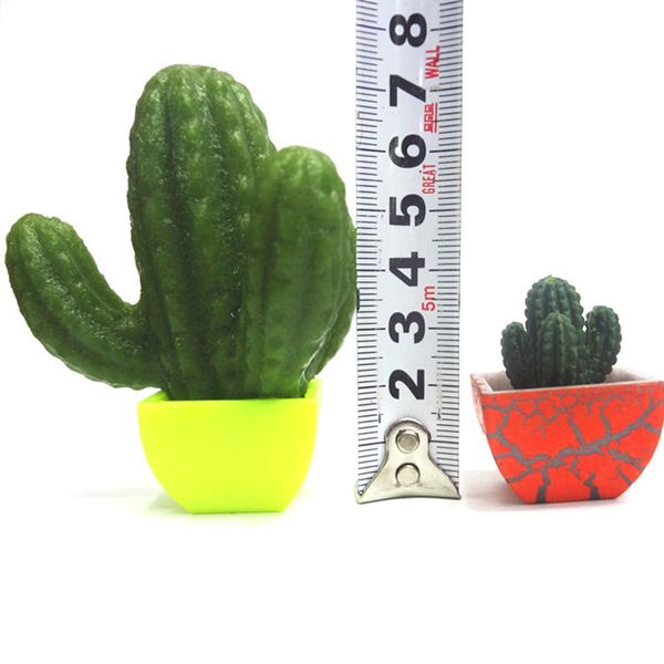 growing 3pcs cactus magic in plant flowers soaking expansion can grow expand water absorption children toys
growing 3pcs cactus magic in plant flowers soaking expansion can grow expand water absorption children toys