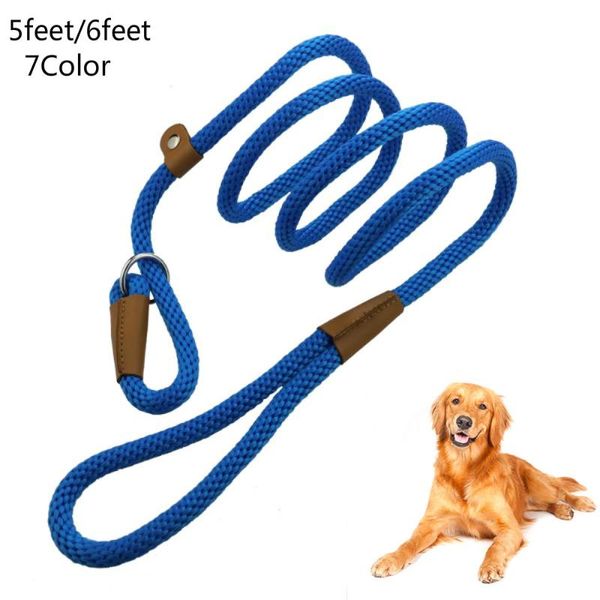 pet products dog leash nylon dog leash medium large pet and collar set outdoor training walking dogs leashes lead harness
pet products dog leash nylon dog leash medium large pet and collar set outdoor training walking dogs leashes lead harness